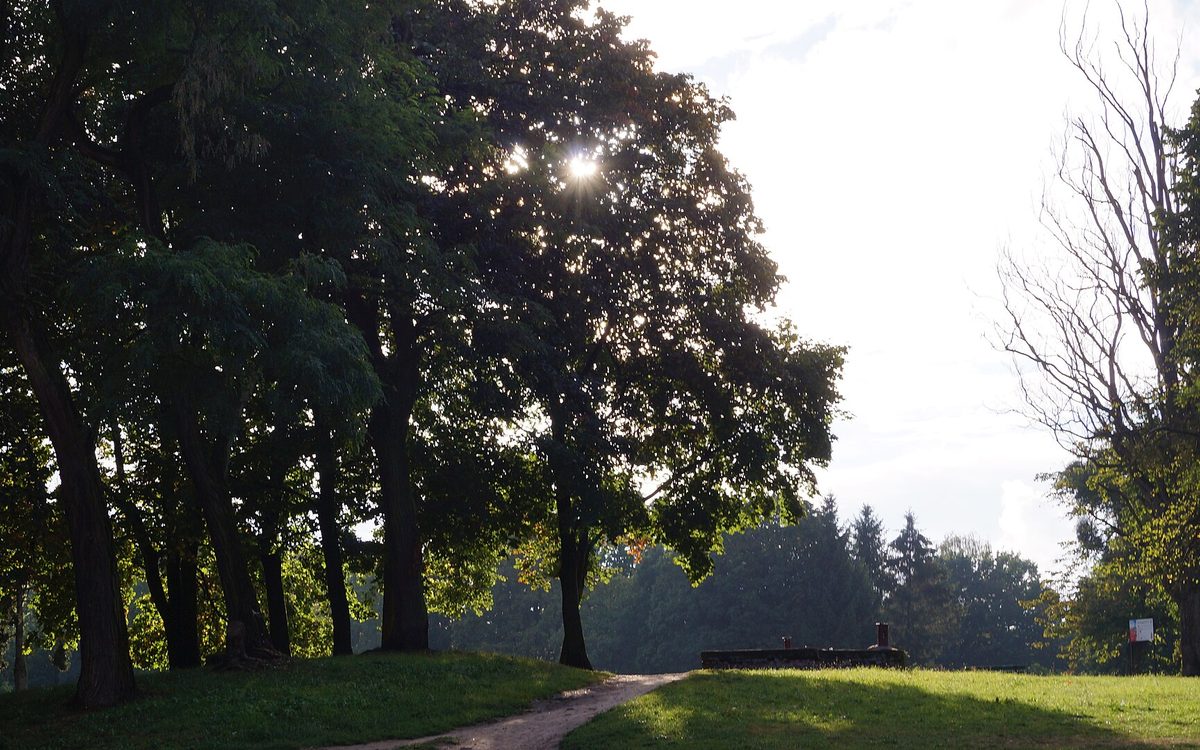 Park Modrzewie — Elbląg